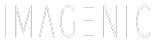 Imagenic logo